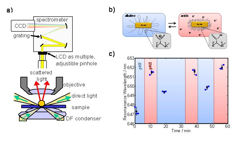 Molecular Plasmonics 2009